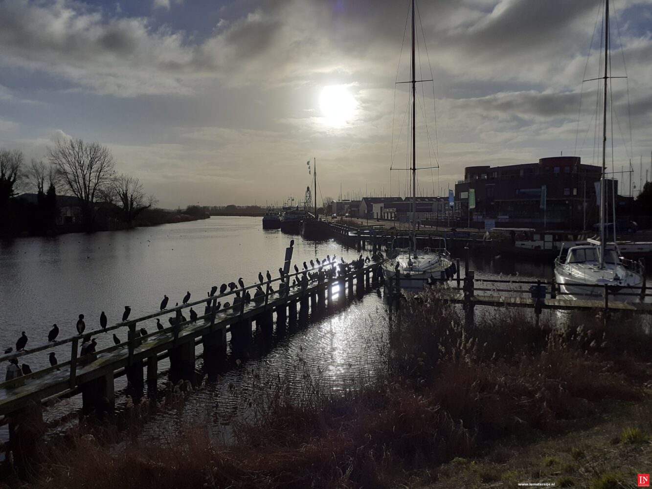 Een boot en reling vol aalscholvers