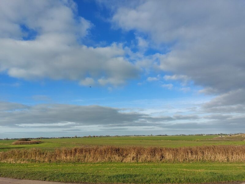 Weerbericht: Droog weekend met soms een zonnetje