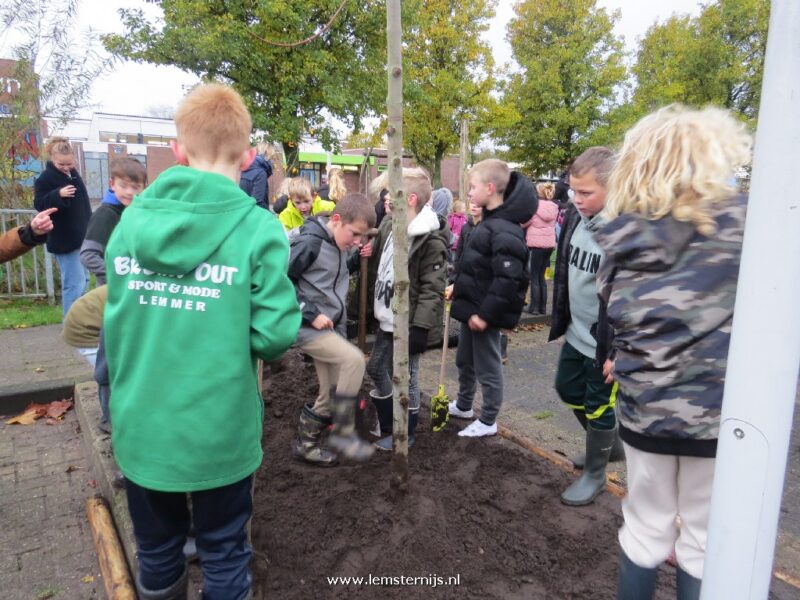 Kinderen planten overal bomen in plan-Noord door idee Bettina