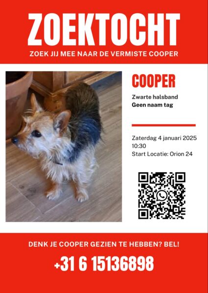 Zoekactie naar vermiste hondje Cooper