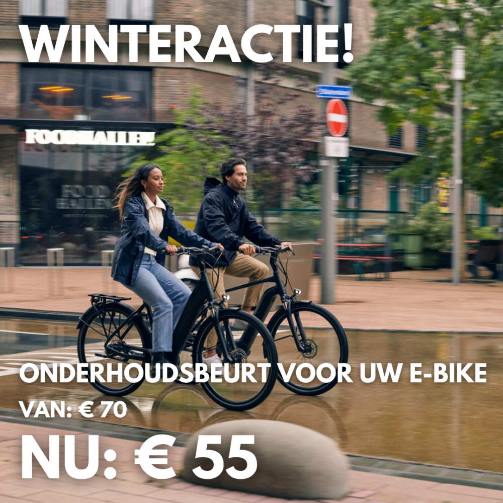 Rijwielhandel Boek: winterbeurt voor E-bikes in februari met fikse korting