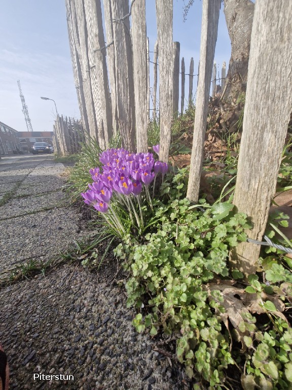 Weerbericht: Droog en rustig weekend