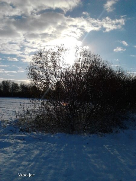 Weerverwachting: Gaat Koning Winter terrein winnen?